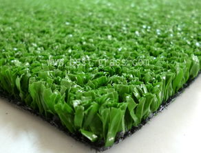 假草坪厂家在哪里北京塑料草皮厂价格 假草坪厂家在哪里北京塑料草皮厂型号规格